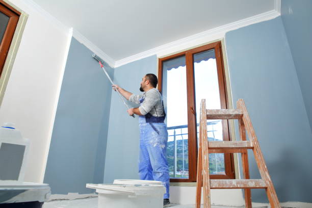Best HVAC Mold Inspection and Cleaning  in Princeton, IL