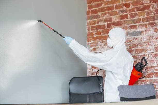 Mold Remediation for Rental Properties in Princeton, IL