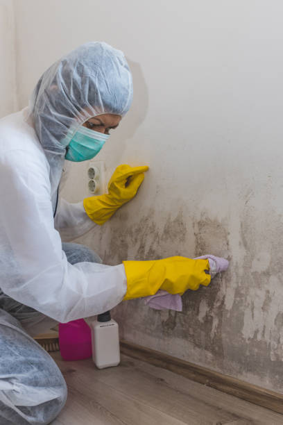 Best Biohazard Mold Removal  in Princeton, IL