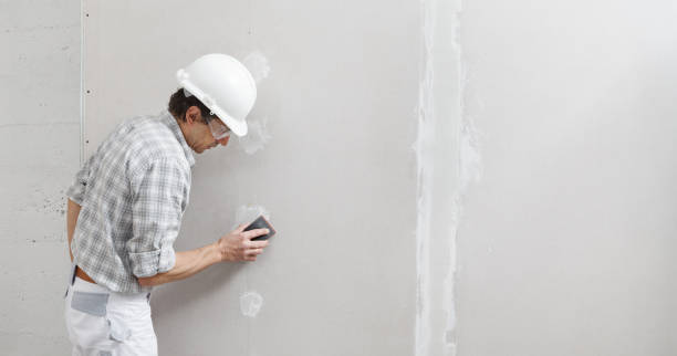 Best Asbestos and Lead Testing During Mold Inspection  in Princeton, IL