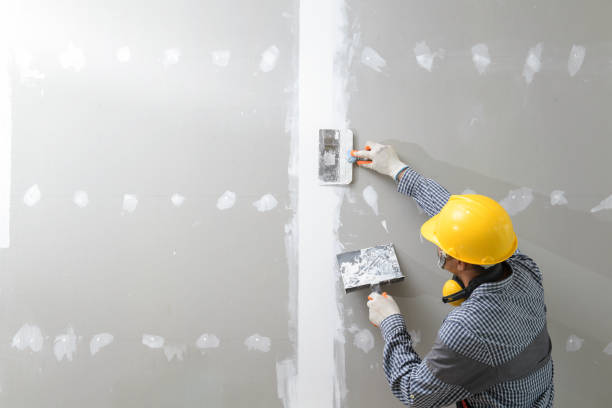 Best Air Quality Testing for Mold Spores  in Princeton, IL