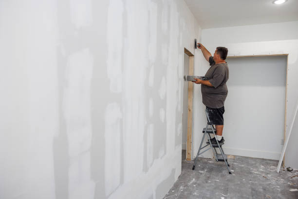 Best Mold Odor Removal Services  in Princeton, IL