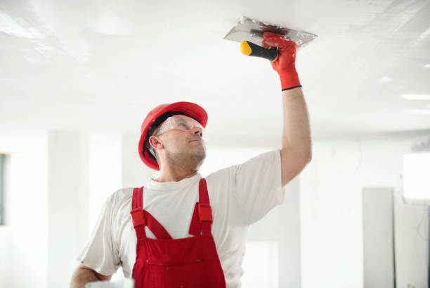 Best Crawl Space Mold Remediation  in Princeton, IL