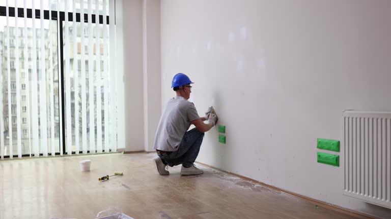 Best Emergency Mold Remediation  in Princeton, IL