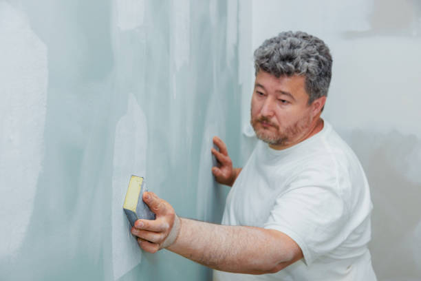 Best Post-Construction Mold Inspection  in Princeton, IL