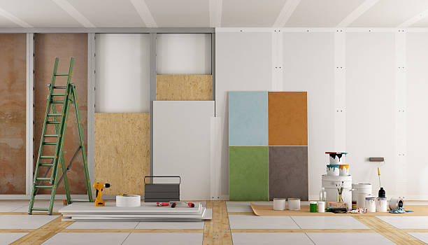 Best Attic Mold Removal  in Princeton, IL
