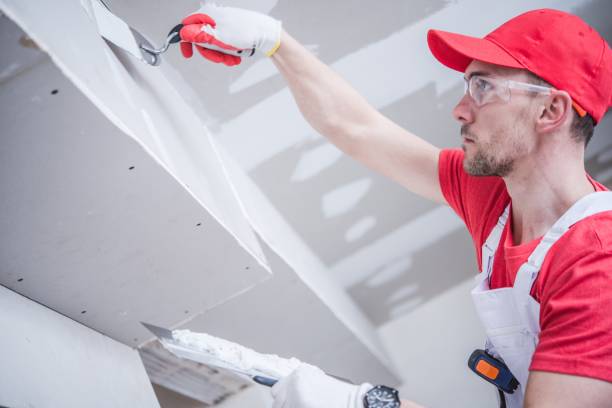 Best Residential Mold Inspection & Testing  in Princeton, IL